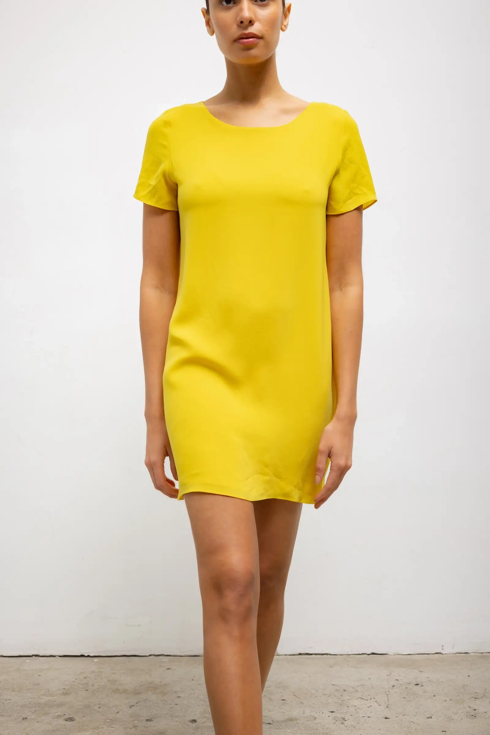 Ari Short Sleeve Mini Dress